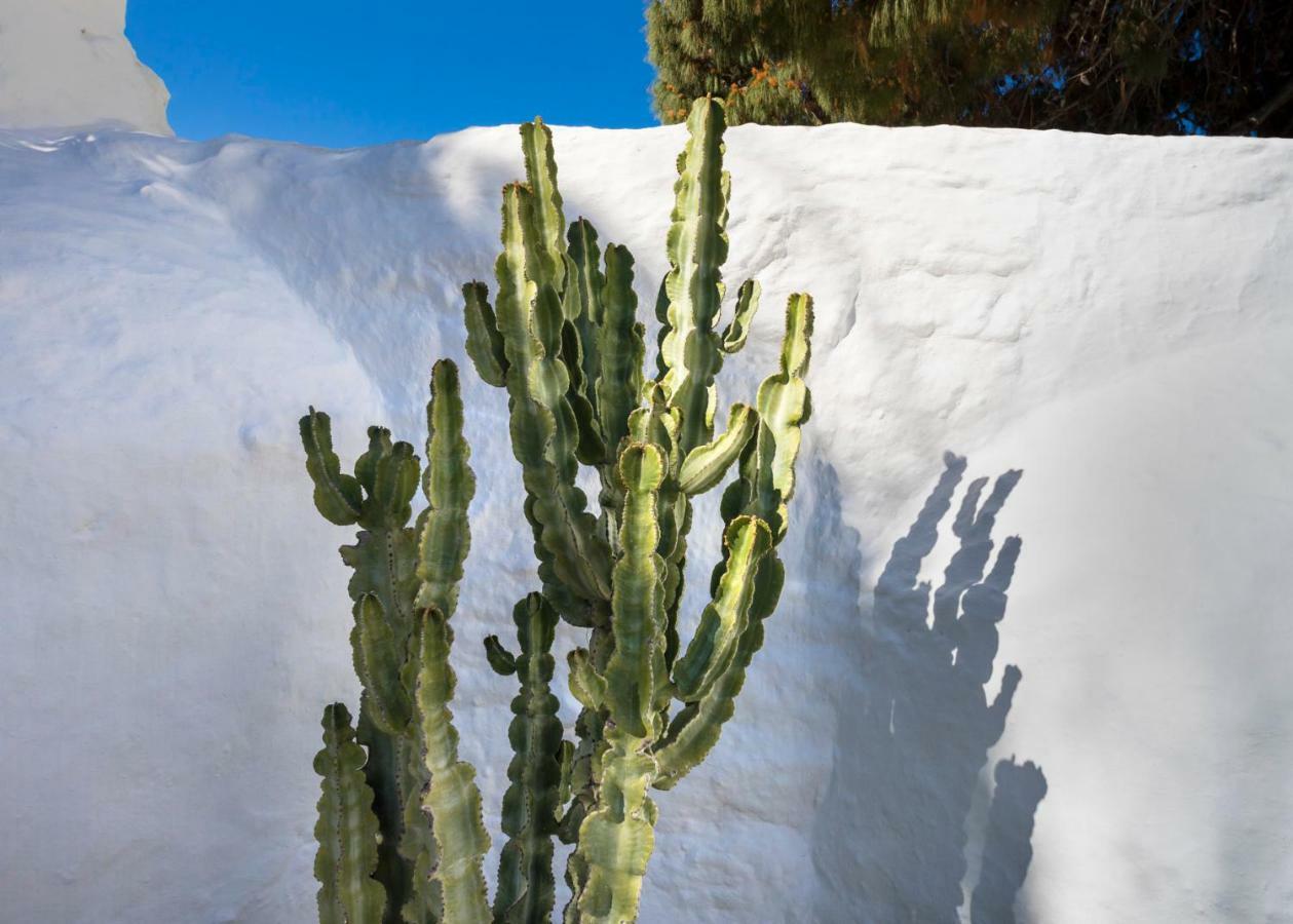 23 Hotel Mykonos Mykonos Town Exterior foto